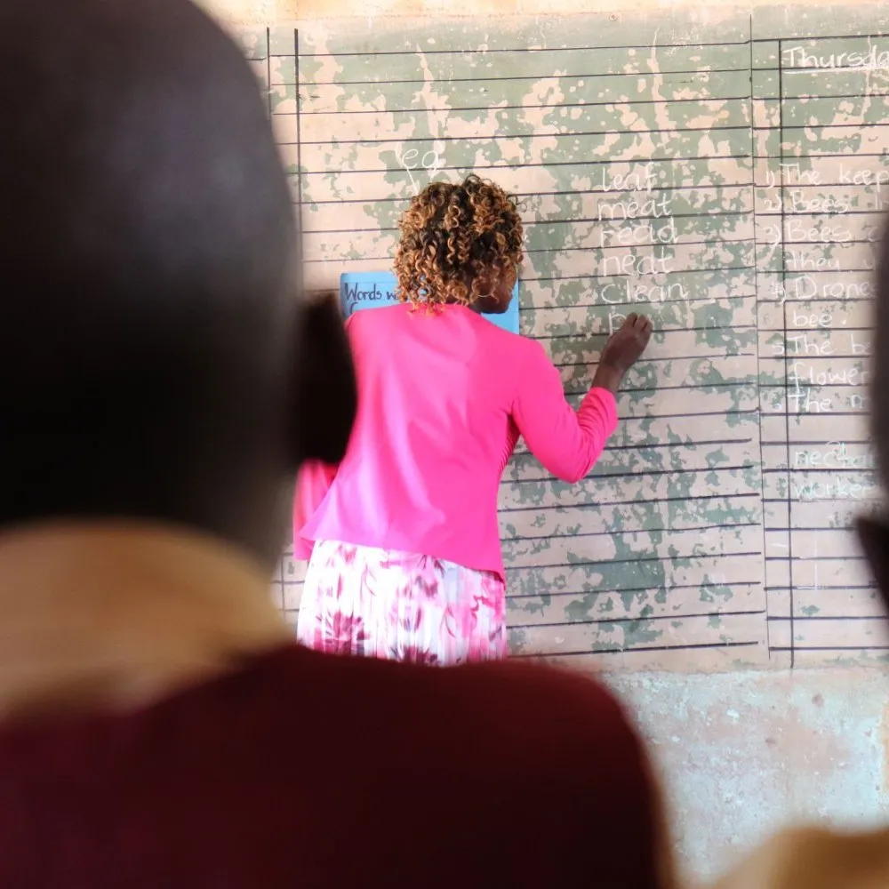 Teacher writing on board in classroom Africa