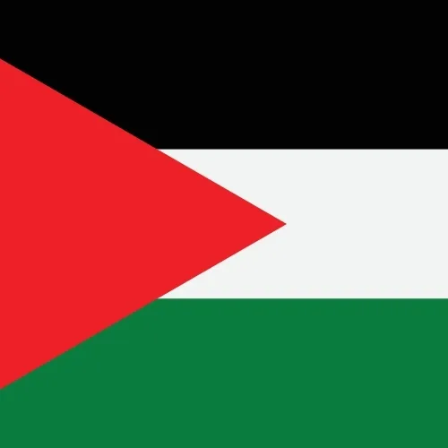 Palestine flag