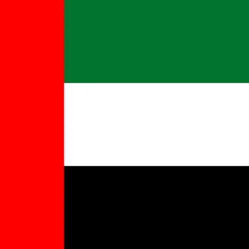 UAE flag