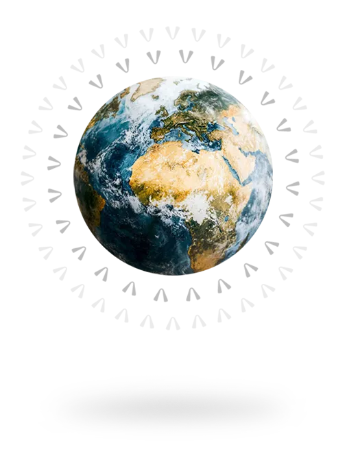 Viz icon globe home