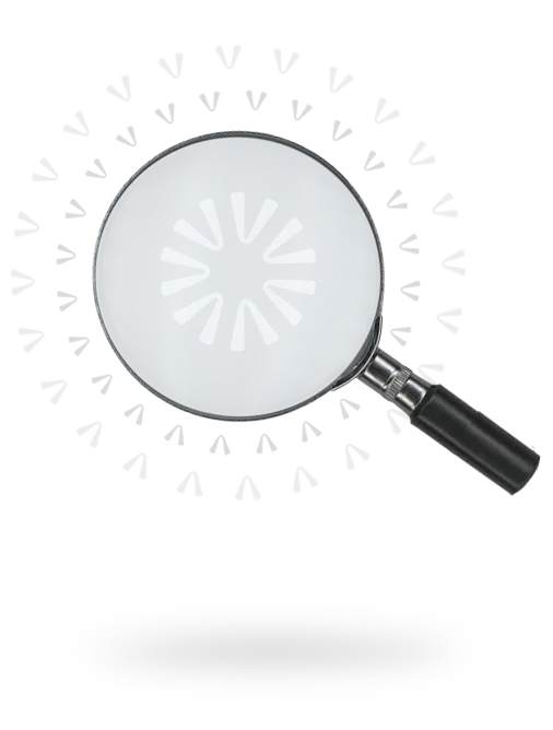 Viz icon search home